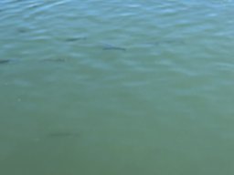 225-11-01-2026 IMG_3420